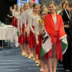 Mindenki tornája - Magyar aranyérem a szlovákiai nemzetközi versenyen