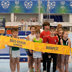 Több száz induló a Diákolimpián